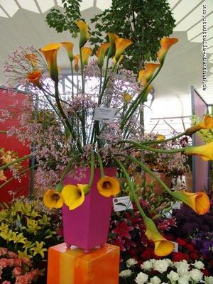 von der BUGA 2005 München